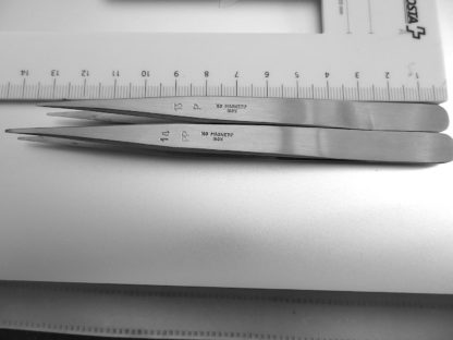 13P Inox – Image 2