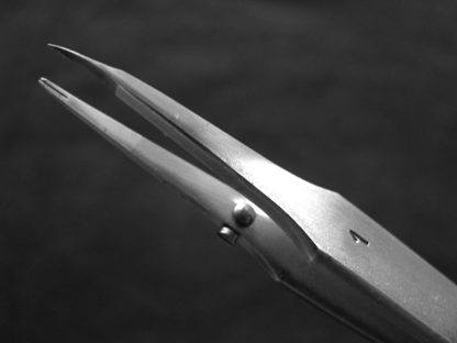 SP1  a former les spiraux 2 3/4 à 12''